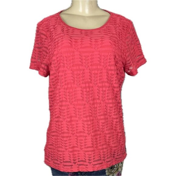 Calvin Klein L Red Coral Sheer Textured Inlay Lined Scoop Neck Short Sleeve Top - Picture 2 of 6